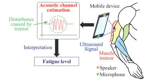 MyoMonitor: Evaluating Muscle Fatigue with Commodity Smartphones